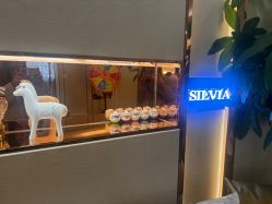 -茜尔维亚修身连锁(八佰伴店)