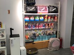 -爱洗澡的猫(望京店)