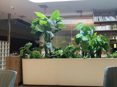 -悦海·家宴·冰花皮皮虾大锅贴(宝龙店)