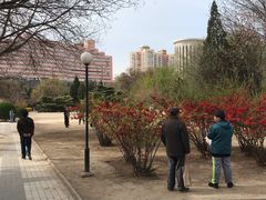 -方庄体育公园