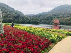 -广州市石门国家森林公园