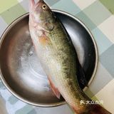 🌈🌈简简单单原汁原味清蒸鲈鱼9