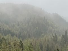 -山王坪喀斯特国家生态公园