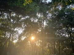 -广州市帽峰山景区