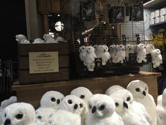 -九又四分之三站台