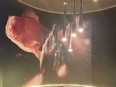 -老板恋上鱼(印象城店)