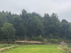 -周立波故居