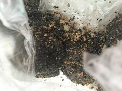 -叶氏麻糍(鼓浪屿店)