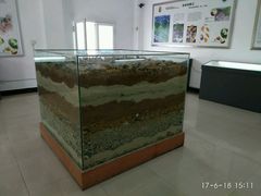 雨花石展厅-六合国家地质公园桂子山景区