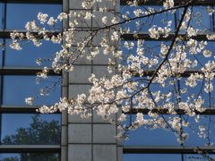 -星湖街(地铁站)