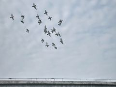 -CHURCH  BISTRO 教堂·餐吧