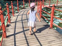 -珠海圆明新园