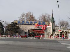 -南宫五洲植物乐园