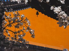 -灵谷景区