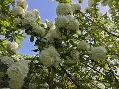 -上海交通大学(闵行校区)