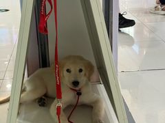 -绍兴古城