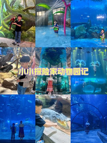 小小探险家动物园记