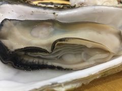 -蚝专家(北滘店)