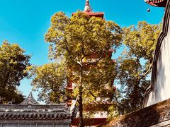 -宝光寺