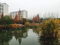 -江南大学(蠡湖校区)