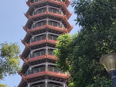 -红花山公园