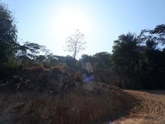 -黄埔油麻山森林公园