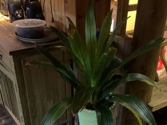 -徽三说·土徽菜·中国徽菜连锁品牌(一中店)