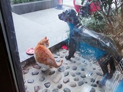 -爱侣·安琦尔宠物医院·中兽医针灸·心内科·狂犬免疫点(宝山区院)