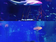 -沈阳海洋探索中心