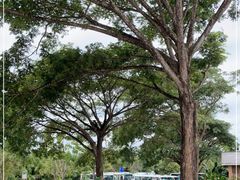 -中国科学院西双版纳热带植物园