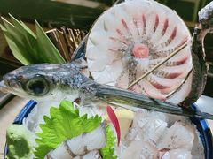 飞鱼-久村和居
