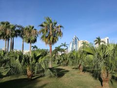 景点-白鹭洲公园