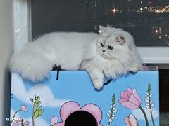 -烤匠麻辣烤鱼(环球中心店)