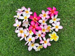 -文华公园(禅城区)