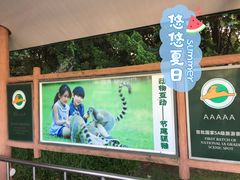 -野生动物园-停车场