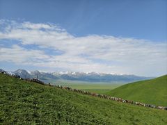 -新疆那拉提国家旅游度假区