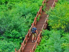 -大岭沟猕猴桃谷风景区