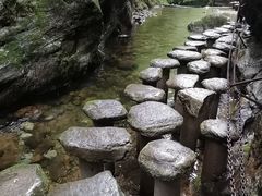 -牛背梁国家森林公园