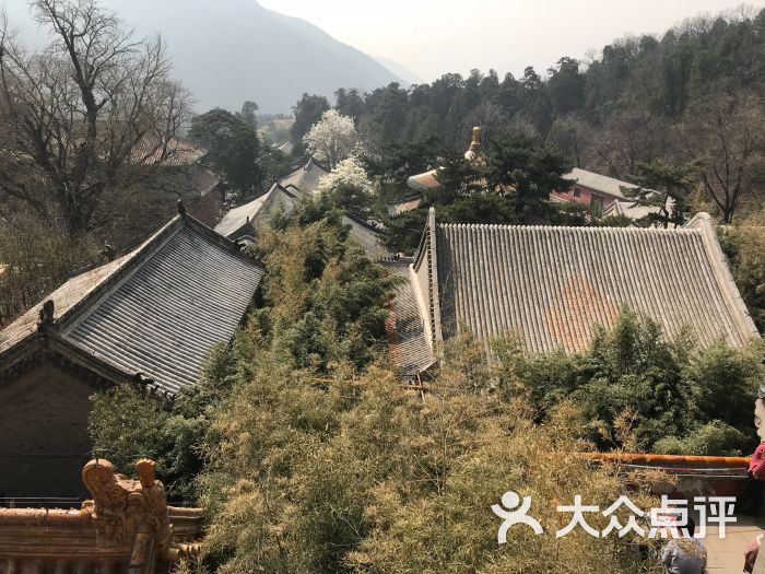 潭柘寺-图片-门头沟区周边游-大众点评网