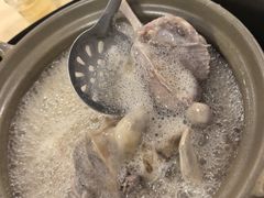 -石岐鸽师傅餐厅(石岐总店)