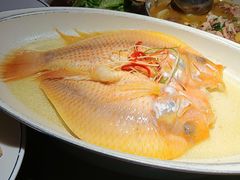 -应天大明王朝·南京菜(中山陵店)