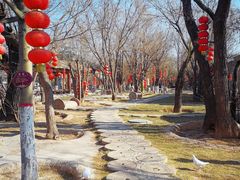-大槐树寻根祭祖园