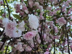 -观澜湖生态运动公社