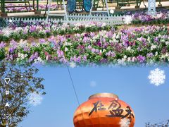 -盈香心动乐园