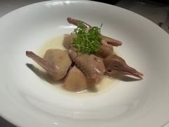 -子福慧(虹桥店)