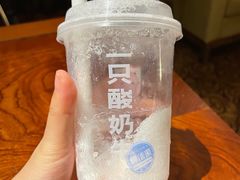-一只酸奶牛(八一路店)