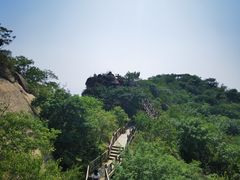 -大岭沟猕猴桃谷风景区