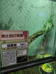 -Zoolung Zoolung动物主题公园(海信广场店)