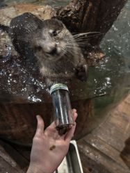 -Zoolung Zoolung动物主题公园(海信广场店)