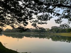 -东莞植物园
